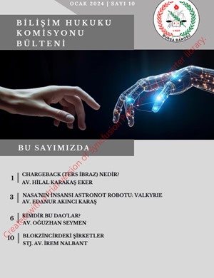 Bursa Barosu Bilişim Komisyonu e-bülten sayı: 10