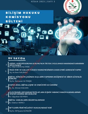 Bursa Barosu Bilişim Komisyonu e-bülten sayı: 3