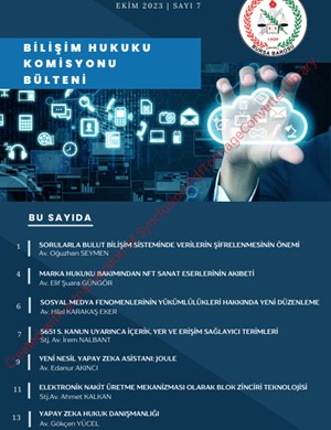 Bursa Barosu Bilişim Komisyonu e-bülten sayı: 7