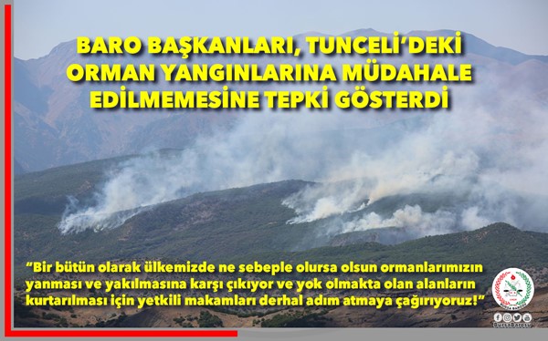 Baro Başkanları, Tunceli'deki Orman Yangınlarına Müdahale Edilmemesine Tepki Gösterdi