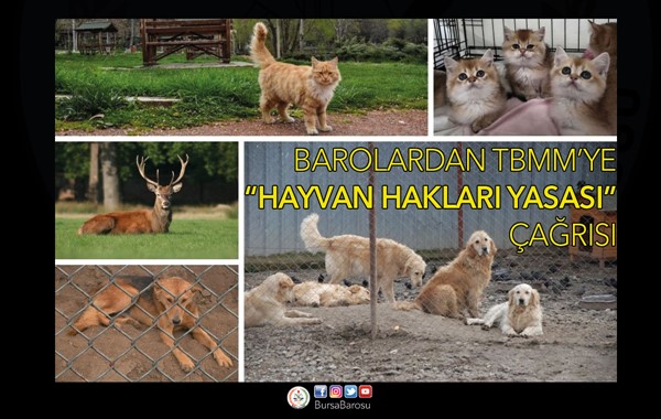 BAROLARDAN TBMM'YE “HAYVAN HAKLARI YASASI” ÇAĞRISI