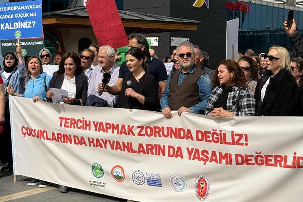 Tercih yapmak zorunda değiliz!