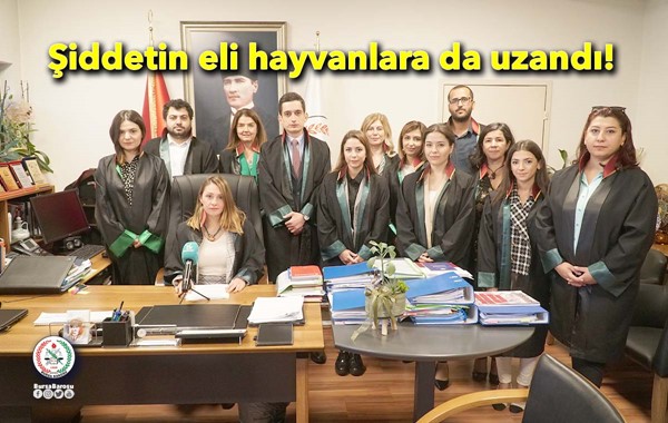 4 Ekim Dünya Hayvanları Koruma Günü: Şiddetin eli hayvanlara da uzandı!